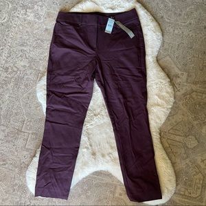 NWT- Ann Taylor Purple Skinny Pants